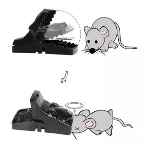 쥐잡이 쥐잡기 간편 쥐약 다잡아 쥐잡는법 쥐덫 더블스프링 쥐박멸 포충등