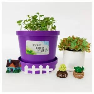 창의교구- 내 책상위에 포레스트 화분 4인 패키지