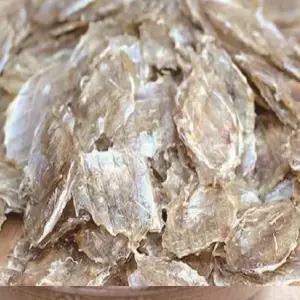 강일건어물 동전쥐포 꼬마쥐포 1kg 