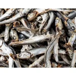 [신세계라이브쇼핑]국물용 다시멸치 1.5kg