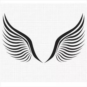 D24 날개03 대형 데칼스티커 TKL-18 주문제작 포인트스티커