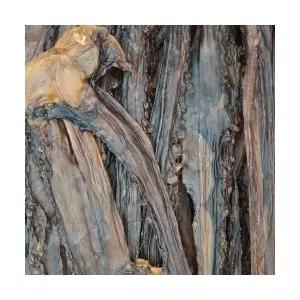 대왕 다리 망족 400g 문어발