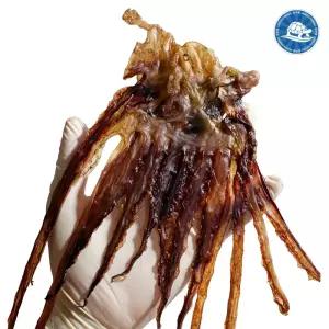 장수왕 추억의 문어발 대 / 간식 대용량 중부시장도매