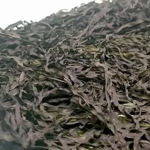 담원 건다시마채 50g 건어물 건조 저메추 아구포 술안주