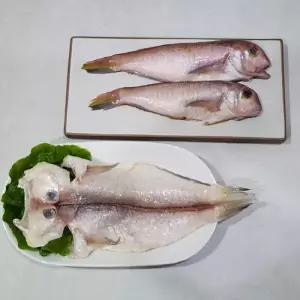 제주옥돔 반건조옥돔 국내산 볼락 자연산 손질생선 5미