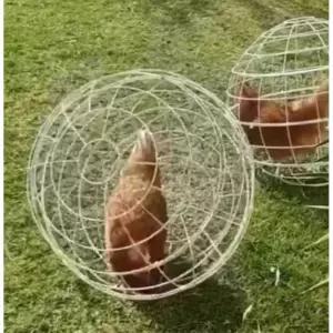 방목 닭 케이지 1마리 도망방지 원형 야외닭장 소형동물 울타리 20cm 하얀색