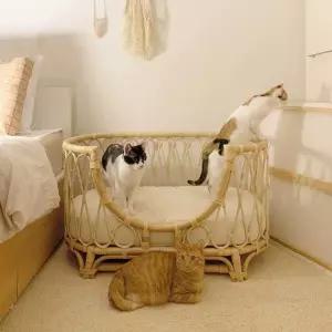 라탄 애견 침대 쇼파 쿠션이 펫하우스 애완견 사각형 촬영 에스티 베브 고