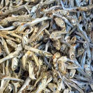 국내산 남해 멸치 고주바멸치 1.5kg 볶음 국물용 고추장볶음멸치 고바 주바