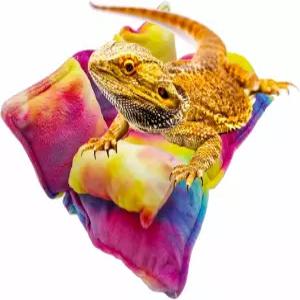 수염을 기른 용을 위한 미니 소파와 팔이 채워진 도마 표범 파충류 수면 침대 10인치