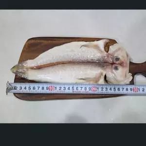 행복농수산 제주도 반건조 옥돔 3미 450g내외 참옥돔