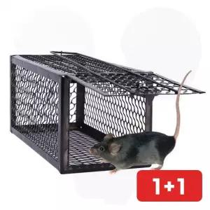 쥐덫 쥐통망 쥐퇴치 트랩 포획 철망 해충 쥐잡기 생포