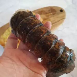 랍스터 테일 1미