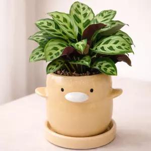 모던 도기 애니멀 캐릭터 화분 M 8x8cm 오리 베이지선인장 귀여운 인테리어 원예 꽃화분 식물 다육