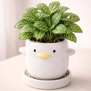 모던 도기 애니멀 캐릭터 화분 M 8x8cm 오리 화이트선인장 귀여운 인테리어 원예 꽃화분 식물 다육