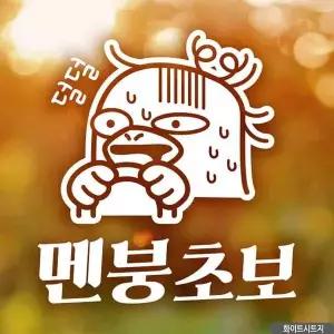 자동차스티커 멘붕초보 덕구 초보운전 화이트시트지