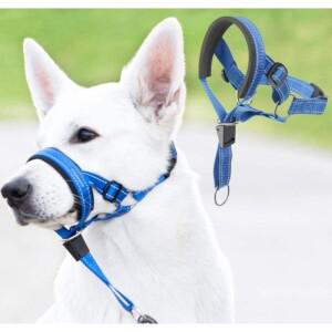 폭동 진압용 코 링이 있는 견인견 입마개 훈련용, 조절 가능한 견인줄, 물림 방지 마스크, 애완견 목줄