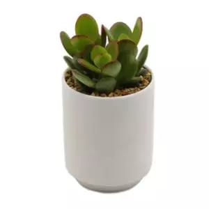 [RIZPICK]다육이 도자기화분 배양토 마사토 세트 키우기쉬운식물 집들이선물