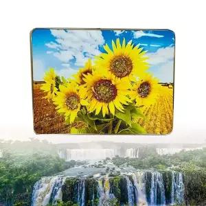 사진인화 인테리어포스터 팝아트 큐빅액자 해바라기 거실액자