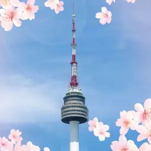 [남산] N 서울타워 블라썸PKG/남산케이블카/케이블카/데이트/데이트명소/서울여행/서울전망대/벚꽃