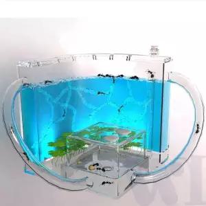 위블리 개미집관찰 개미관찰키트 여왕개미집 관찰형 개미집