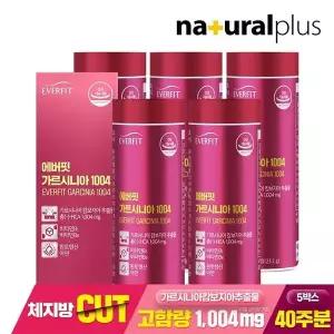 에버핏 가르시니아 1004 112정 5박스 (40주분) / 고함량 HCA 1004mg 체지방감소