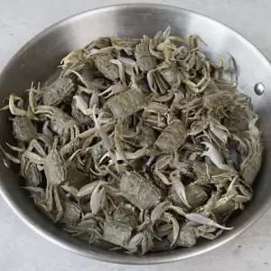 순천만 갯벌에서 잡은 급냉 칠게(튀김용) 1kg