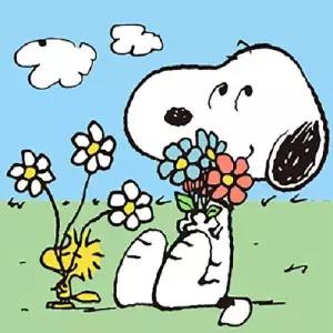 [아트박스]/아이러브페인팅 DIY 그림그리기 세트 피너츠 스누피 꽃다발 25x25