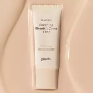 [SET] 어성초 진정 블레미쉬 커버 선비비 본품+미니 (50ml+25ml) [GIFT] 히알루론마스크 1매