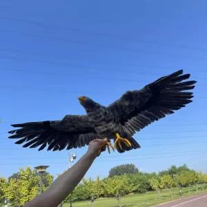 정원 조형물 대형 독수리 모형 새쫓기 퇴치용 장식품 파충류 방지 소품 피규어