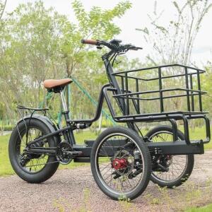 전기 프론트 카고 바이크 250W/350W/500W/750W 오프로드 삼륜 자전거 장거리