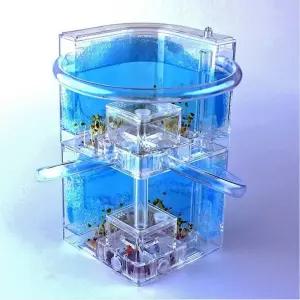 어린이 과학 교육용 개미 사육장 2단 개미집 키우기 세트 곤충 관찰 교구