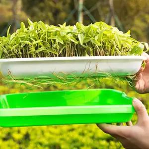 새싹재배기 식물 씨앗 재배기 새싹재배기 새싹키우기 채소키우기