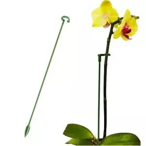 [콩심팥심]화분지지대 식물 난 지지대 고정대 고정봉