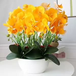 행운 호접란 조화 키우기 서양란 테이블 선물 사무실