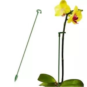 화분지지대 식물 난 지지대 고정대 고정봉