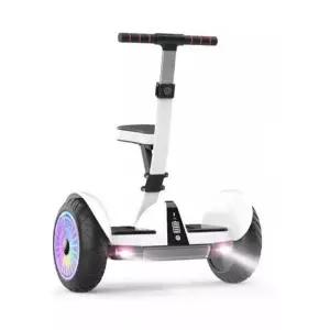 두발전동휠 투휠 호버보드 Pro 대리기사 이륜 전동휠 54V