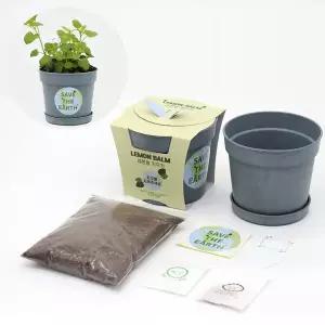 [RIZPICK]여러해살이 레몬밤 반려식물 비료 키우기 세트 키우기쉬운식물