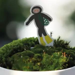 [RIZPICK]화산사 이끼 미니화분 키우기 세트 키우기쉬운식물 집들이선물