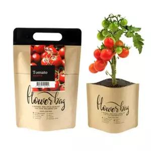 [RIZPICK]미니 DIY키트 방수화분 방울토마토 재배 세트 키우기쉬운식물