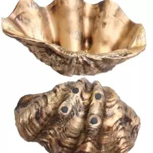 책상미니화분 야생화 디자인화분 개성있는 특이한 예쁜화분 255X163mm