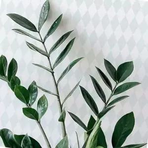 코너시트지 포인트 낱장 뮤럴벽지 여성도배 모던벽지