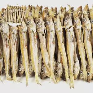 소주 (햇) 줄노가리 100마리 말린/건조