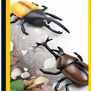 반디 Bugs 장수풍뎅이 RC 색상임의배송 작동완구 생일 잔치 조카 어린이날 선물