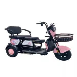 어르신 전기바이크 삼륜 소형 3륜 세발 성인 시니어 충전식 출퇴근 배터리 안전