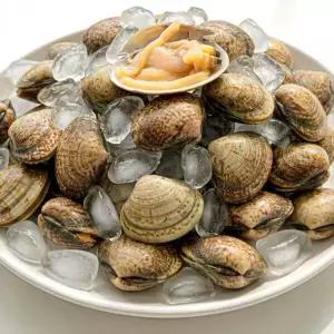 남해안 활 바지락 1kg