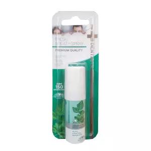 덴티스테 브레스 구강스프레이 15ml 3개