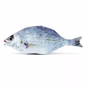 연필 수납 케이스 은어 디자인 펜슬통 문구용품 정리함