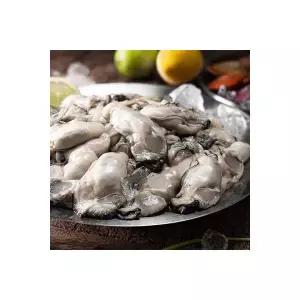 파머스토리 통영 생굴 2kg 산지직송 회초장 (1kgX2팩) 979601