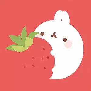 TBZ 몰랑 딸기 몰랑이 보석십자수 액자세트 15x15