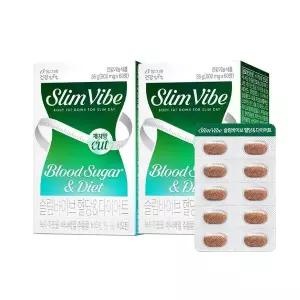 [NS홈쇼핑]빙그레 바이브 혈당 체지방감소 녹차카테킨 60정 2개[35681142]